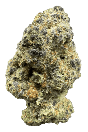 Big Dipper Cannabis Strain Pueblo Colorado