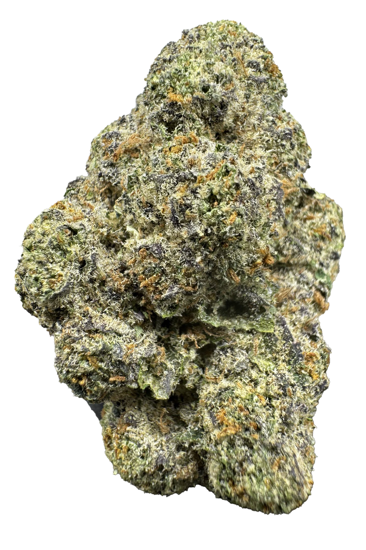 Head Hunter Cannabis Strain Pueblo Colorado